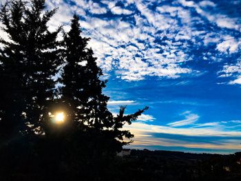 Low angle view of silhouette trees against sky during sunset