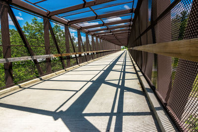 Shadow of tree on bridge