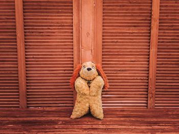 High angle view of stuffed toy on wooden wall