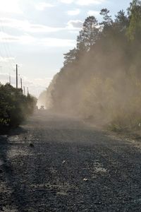 Scenic view of road by trees against sky