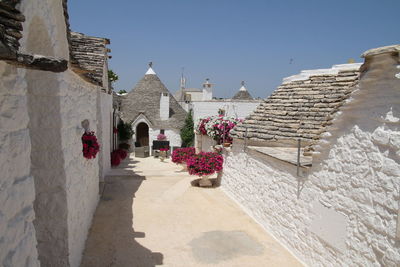 Potted plant against historic building against clear sky
