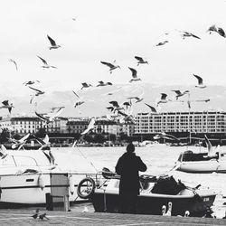 Bird flying over water