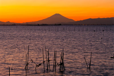 Silhouette wooden posts in sea against orange sky