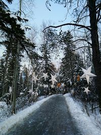 Snow covered road amidst trees during winter