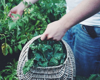 Low section of man holding plants