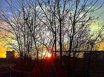 Bare trees against sky at sunset