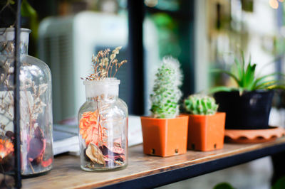 Close-up of potted plants in glass jar on table