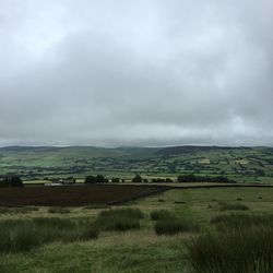 Scenic view of agricultural landscape against cloudy sky