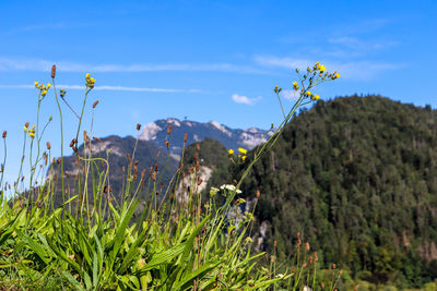 Scenic view of mountains against blue sky