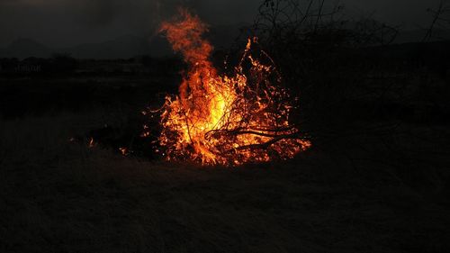 Close-up of bonfire