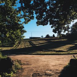 Road by trees against sky