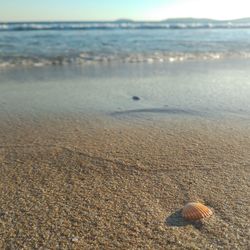 Surface level of calm beach