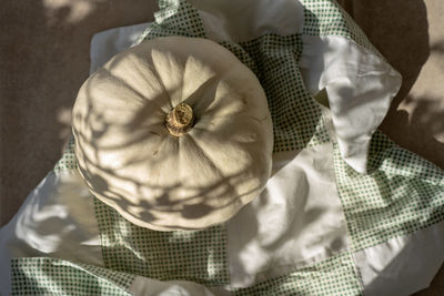 Directly above shot of pumpkin on tablecloth