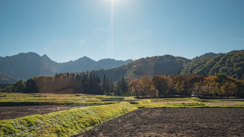 landscape