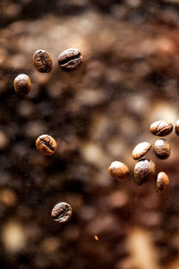 Close-up of coffee beans