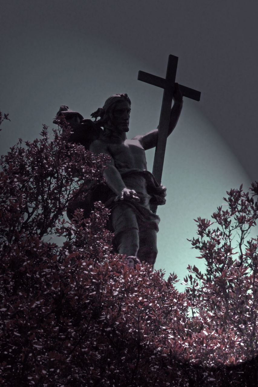 LOW ANGLE VIEW OF CROSS AGAINST TREES