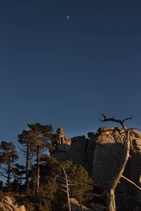Trees and rock formations against clear sky during dusk