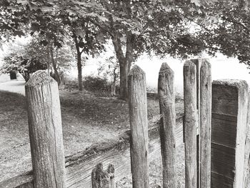 Wooden fence on field by trees