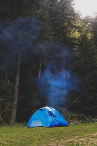 View of tent in forest