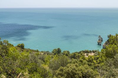 Baia delle zagare in mattinata