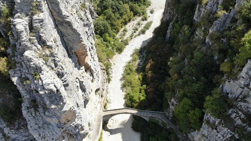 High angle view of river amidst trees