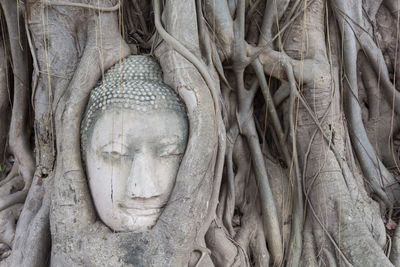 Close-up of statue