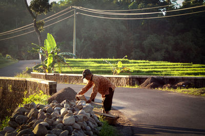 Man standing on road by trees