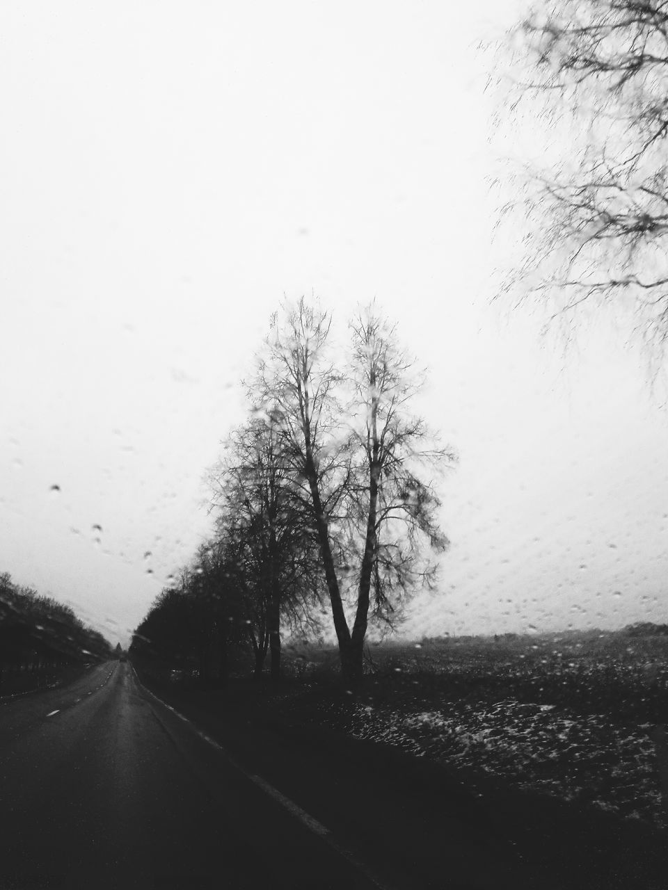 ROAD BY TREES AGAINST CLEAR SKY