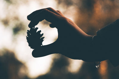 Close-up of hand holding silhouette leaf against sky