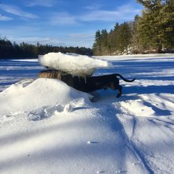 Scenic view of snow covered field against sky