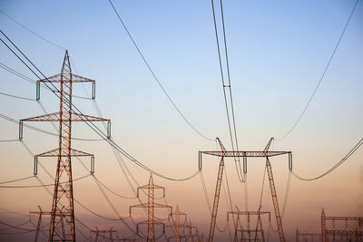 Flock of birds flying over power lines