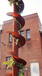 Low angle view of potted plant against building