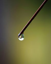 Close-up of water drop against gray background