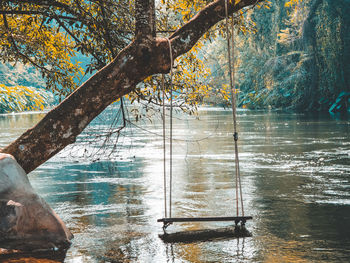 Scenic view of lake in forest