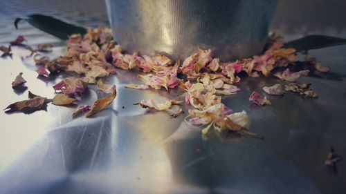 Close-up of flowers in water