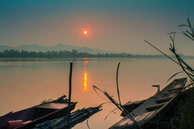 Silhouette plants by lake against sky during sunset