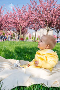 Portrait of cute baby boy lying on bed at park