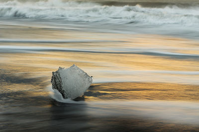 Close-up of ice on beach against sky during sunset