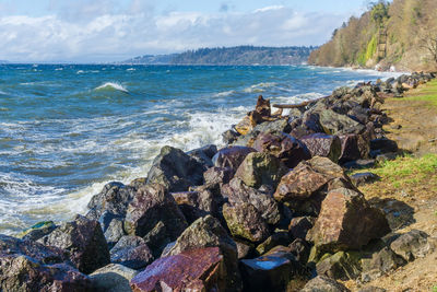 A view of the shoreline at saltwater state park in des moines, washington.