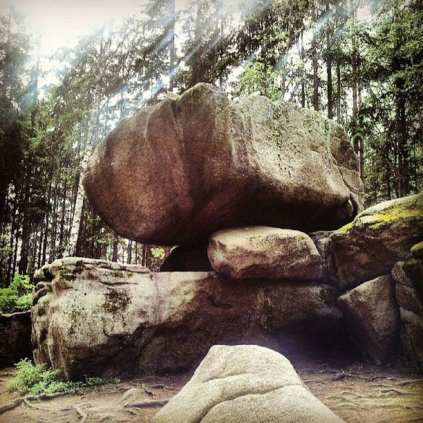 tree, rock - object, tranquility, nature, rock formation, sunlight, tranquil scene, rock, beauty in nature, stone, day, mountain, outdoors, non-urban scene, stone - object, scenics, sky, low angle view, growth, no people