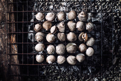 Grilled shell