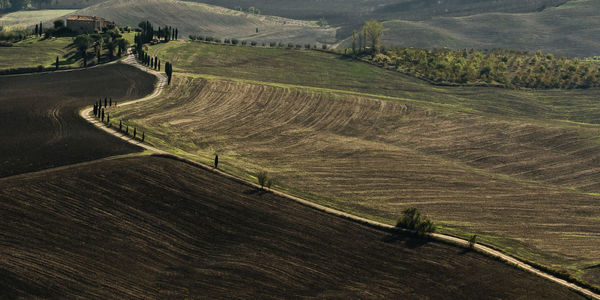 High angle view of agricultural field