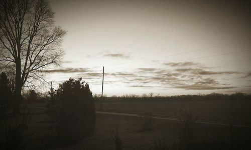 Bare trees on field against sky at sunset