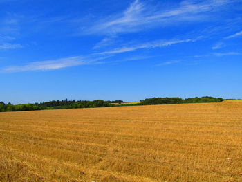 Scenic view of agricultural field against blue sky