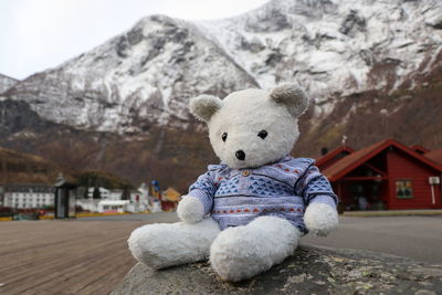 Stuffed toy on snow against mountains