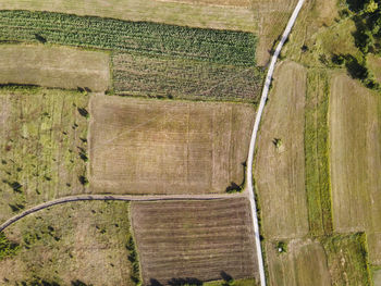 High angle view of agricultural field