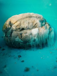 High angle view of a bread with fungus 