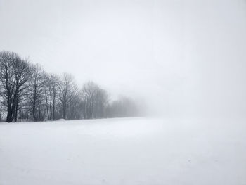 Trees on snow covered landscape