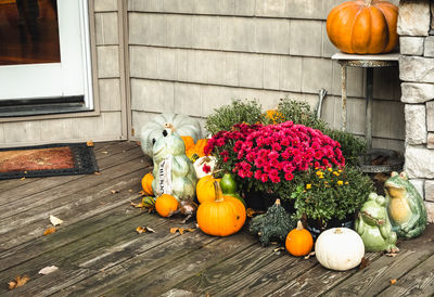 View of pumpkins on table