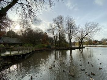 Scenic view of lake in park against sky